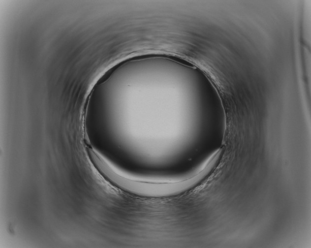 X0000096631524200802191145