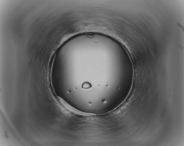 X0000096631525200802191145
