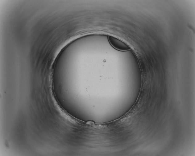 X0000096631526200802191145