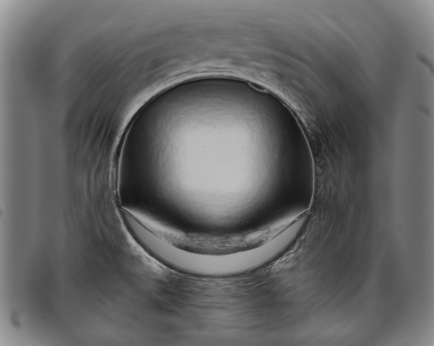 X0000096631527200802191145