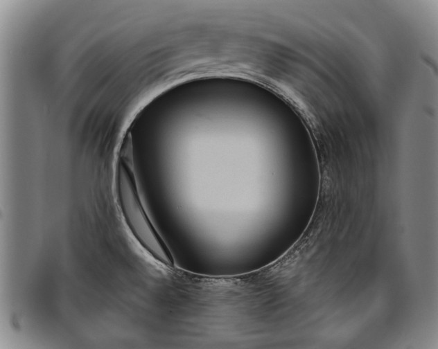 X0000096631528200802191145