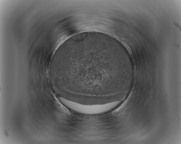 X0000096631529200802191145