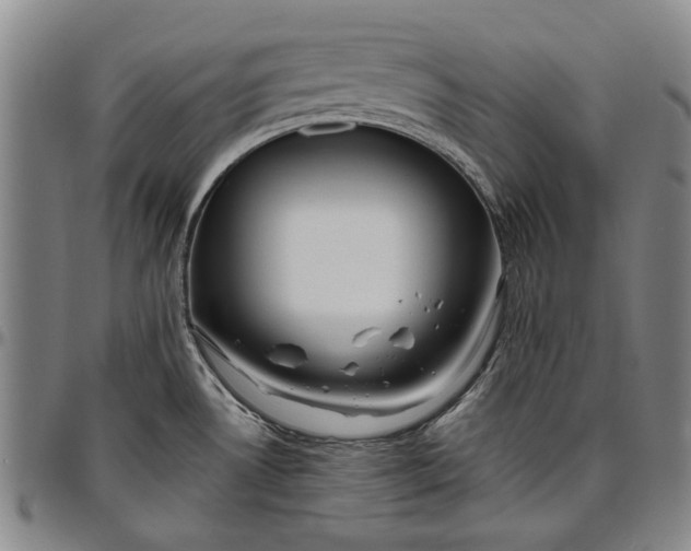 X0000096631530200802191145
