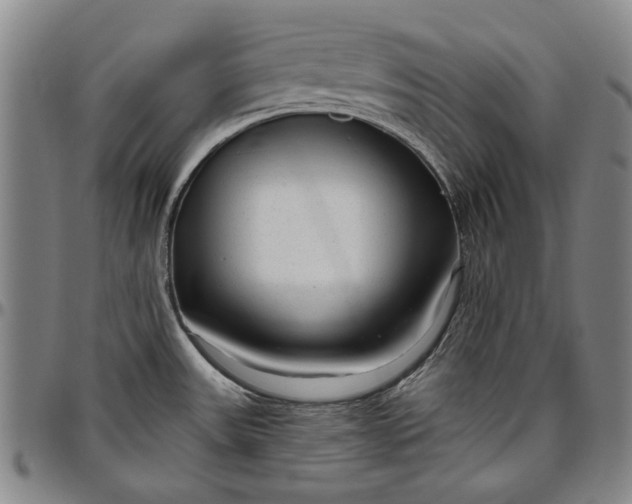 X0000096631531200802191145