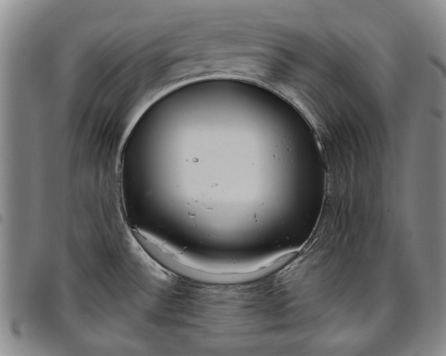 X0000096631532200802191145