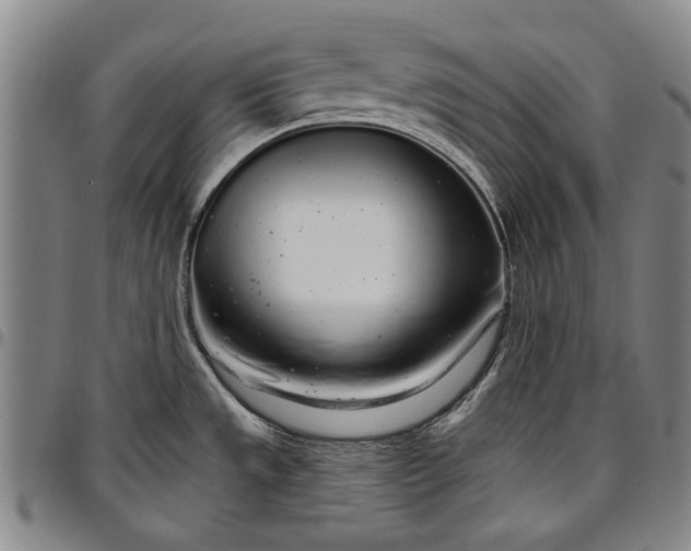 X0000096631533200802191145