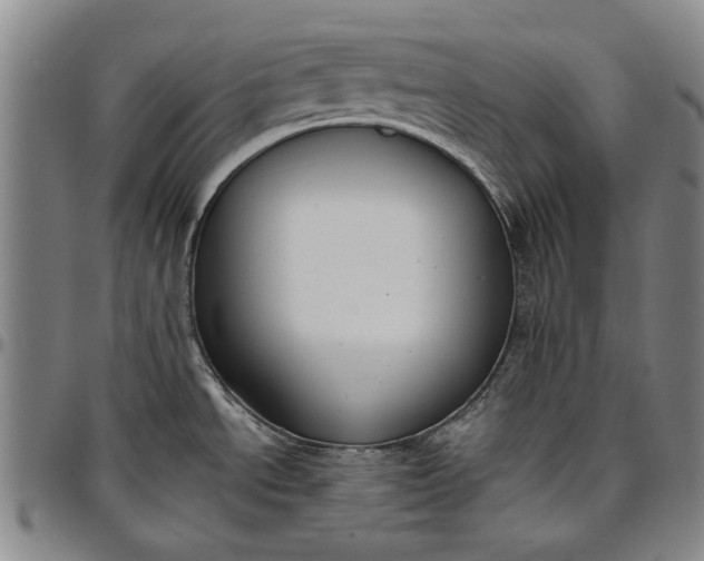 X0000096631534200802191145