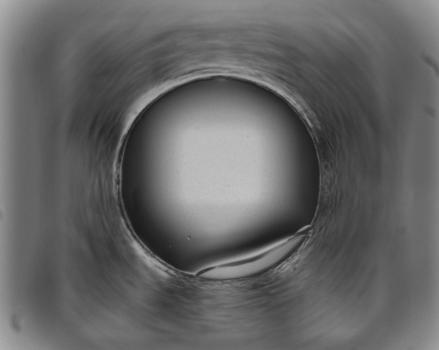 X0000096631535200802191145