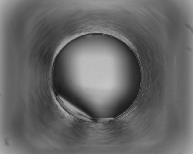 X0000096631536200802191145