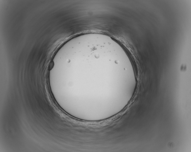 X0000096630001200802261216