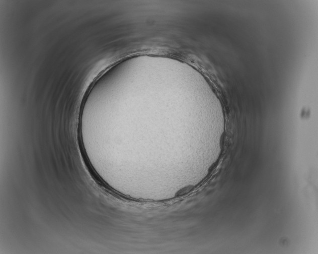 X0000096630003200802261216