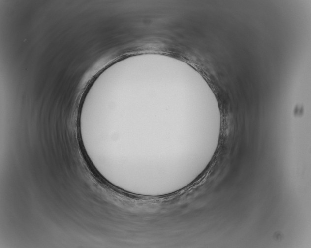 X0000096630004200802261215