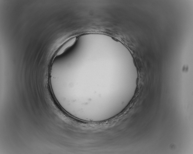 X0000096630005200802261215