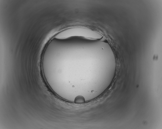X0000096630006200802261215
