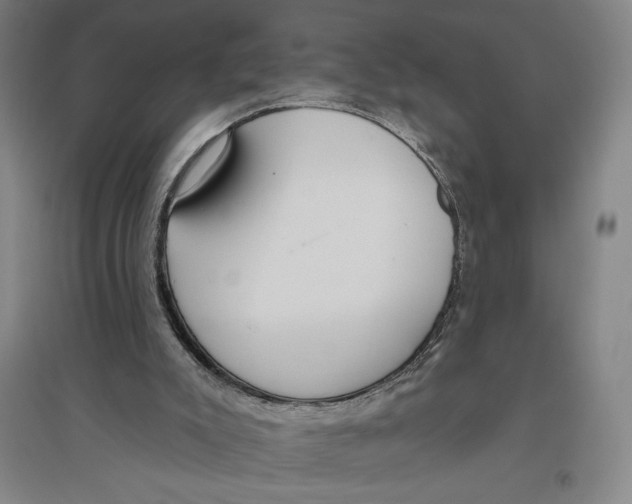 X0000096630007200802261215