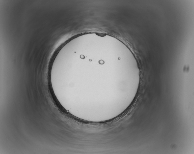 X0000096630008200802261215