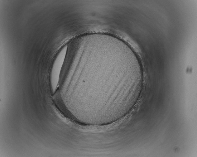 X0000096630009200802261215