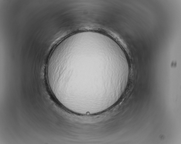 X0000096630010200802261215