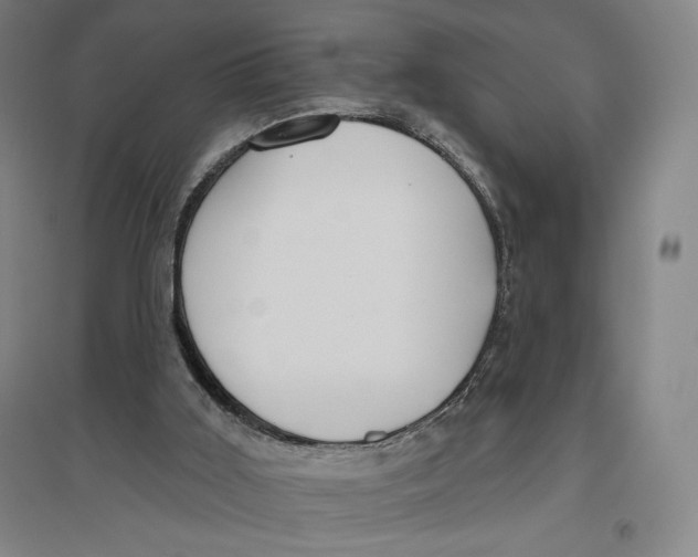 X0000096630011200802261215