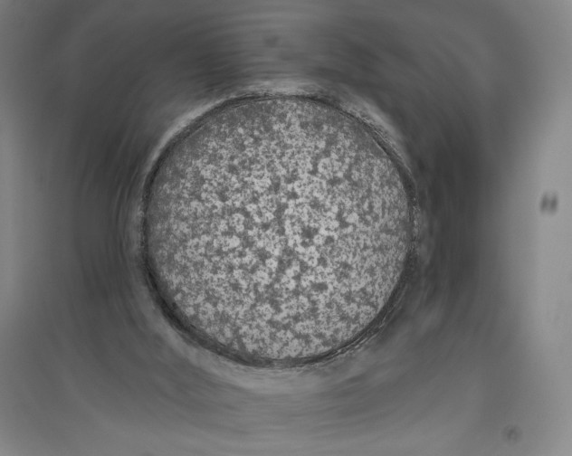 X0000096630012200802261215