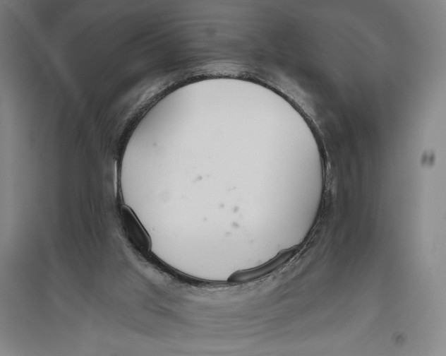 X0000096630013200802261215