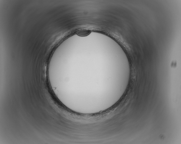 X0000096630014200802261215