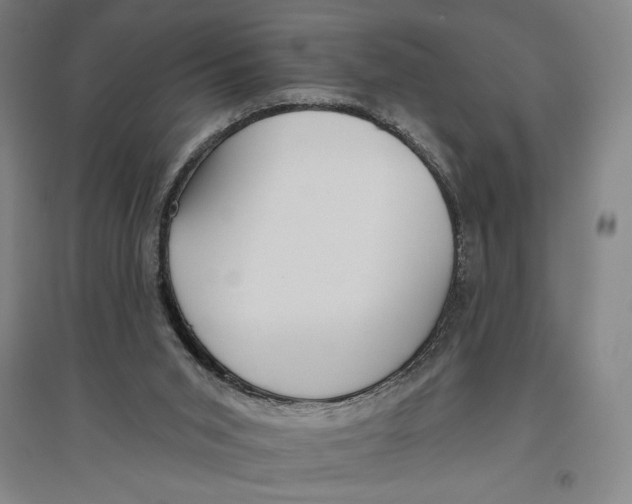 X0000096630015200802261215