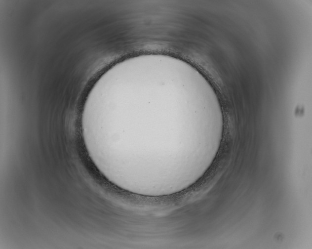 X0000096630016200802261215