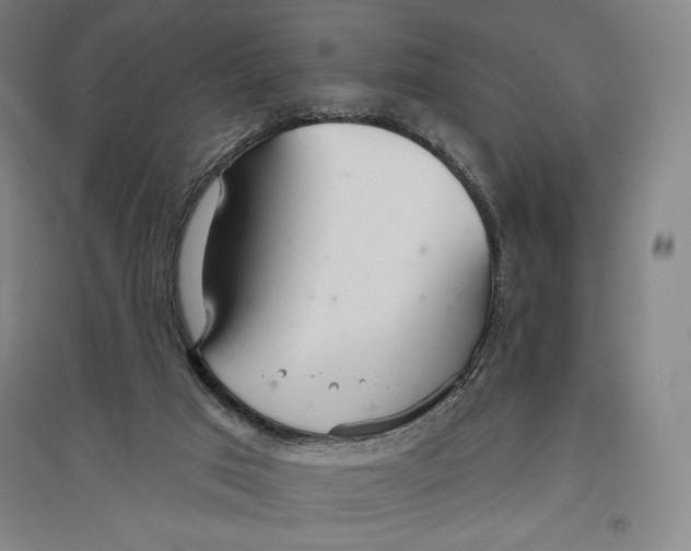 X0000096630017200802261215