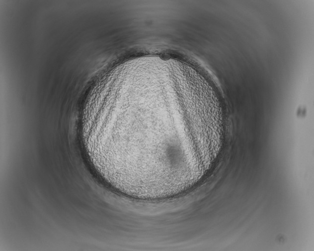 X0000096630018200802261215