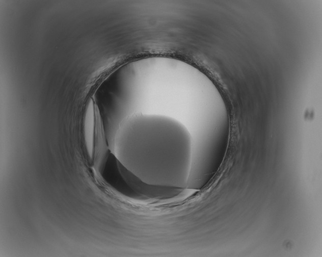 X0000096630019200802261215
