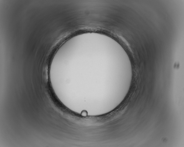X0000096630020200802261215