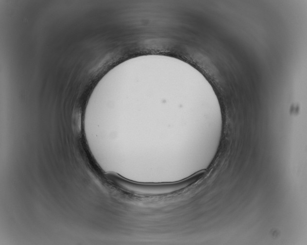 X0000096630021200802261215