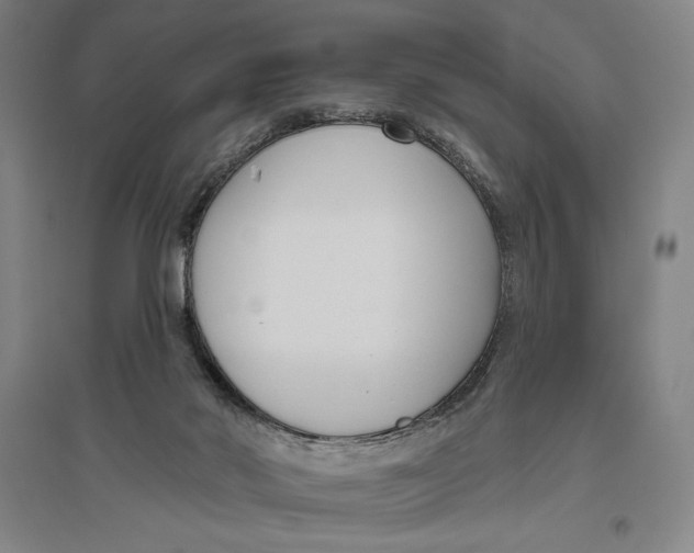X0000096630022200802261215