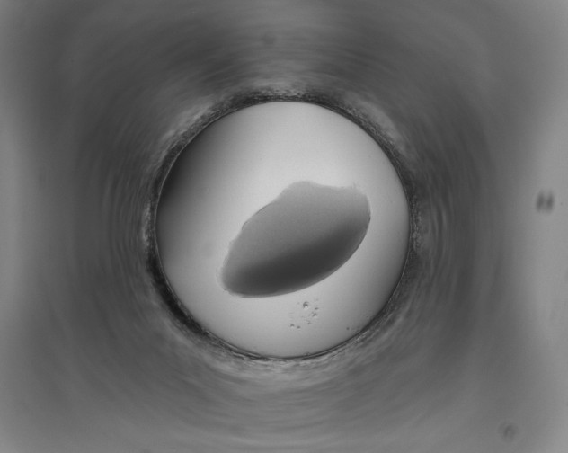 X0000096630023200802261215