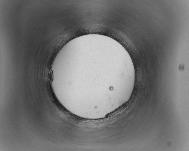 X0000096630025200802261215