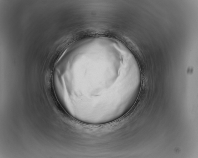 X0000096630026200802261215