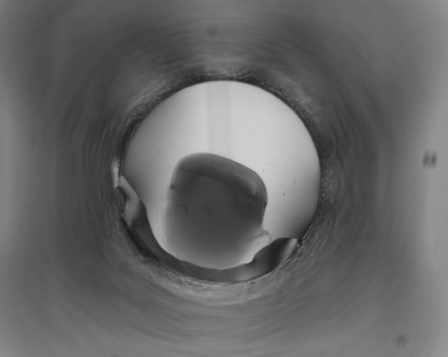 X0000096630027200802261215