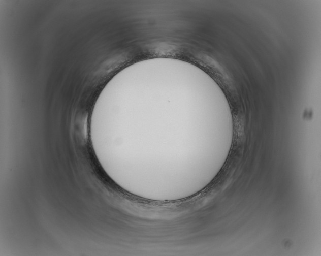 X0000096630028200802261215