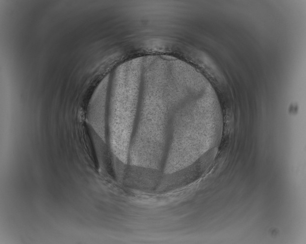 X0000096630029200802261215
