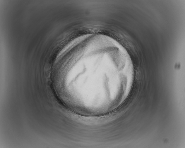 X0000096630030200802261215