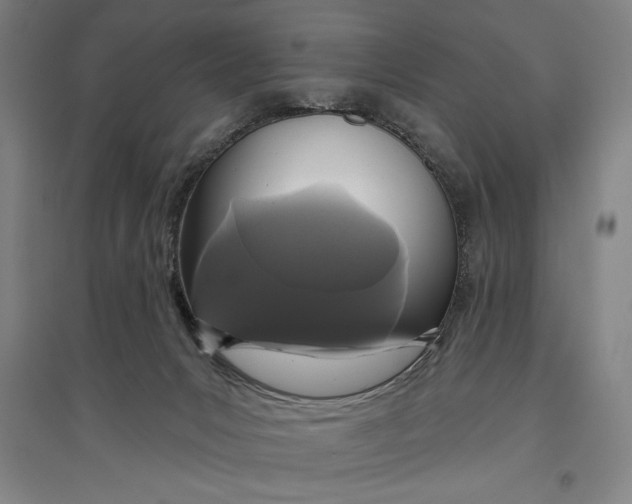 X0000096630031200802261215