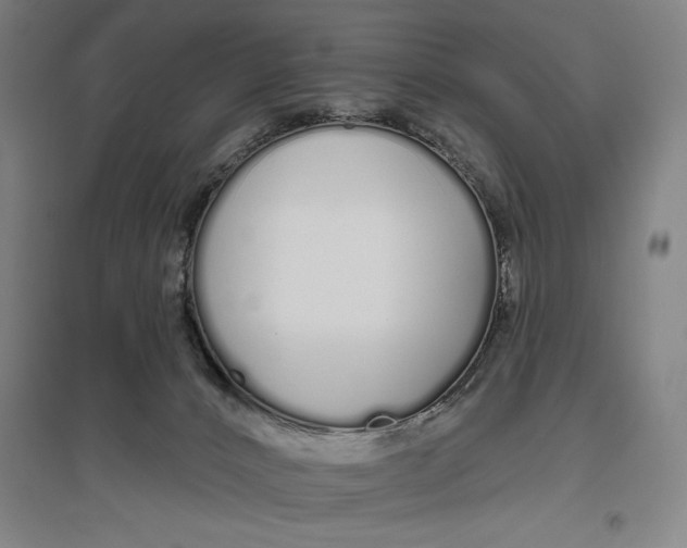 X0000096630032200802261215