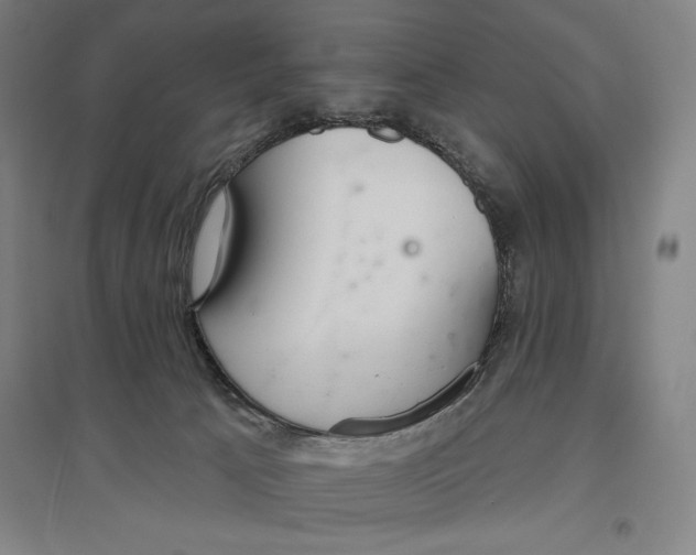 X0000096630033200802261215