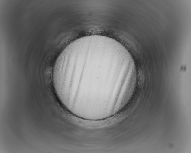 X0000096630034200802261215
