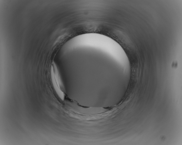 X0000096630035200802261215