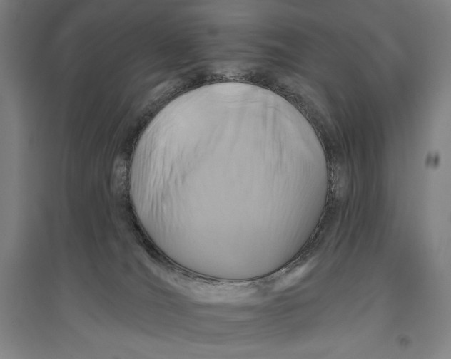X0000096630036200802261215