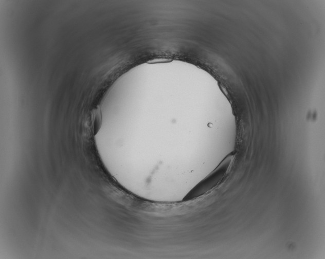X0000096630037200802261215