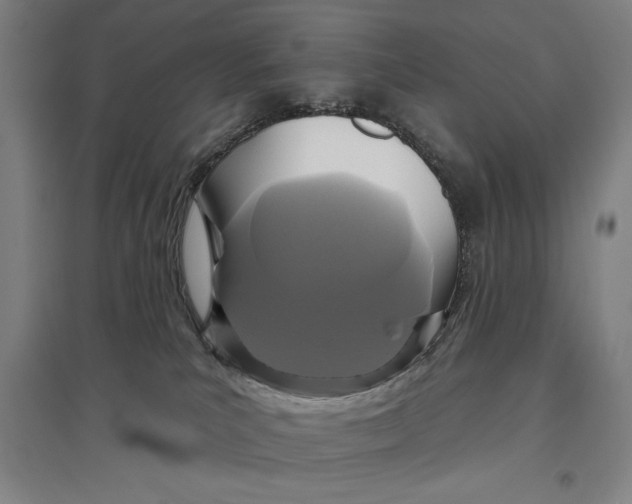 X0000096630039200802261215