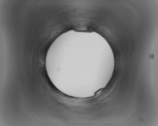 X0000096630040200802261215